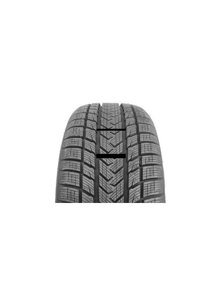 SureGrip Pro Winter GRIPMAX 195 55 20 95 H