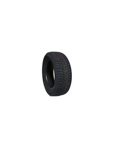 CATCHSNOW LANVIGATOR 205 55 16 94 H