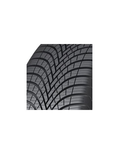 All Weather SAVA 225 60 17 99 V