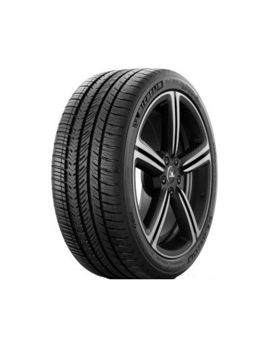 255/45 R21 TL 106V PILOT SPORT A/S 4 XL NE0 BSW M +S