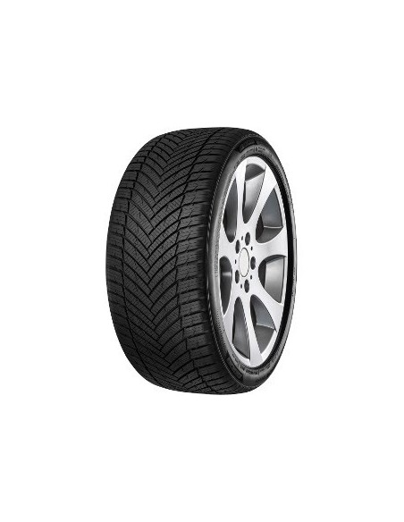 255/40 R20 TL 101Y ALL SEASON POWER XL BSW M+S  3PMSF