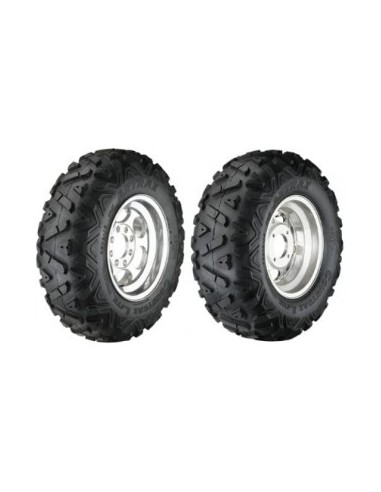 AT1306 ARTRAX 25 10 12 50 N