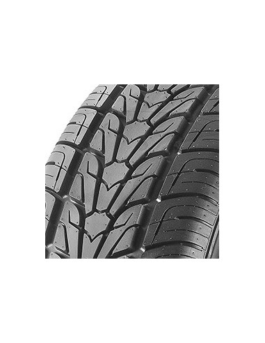275/55 R17 109 V Nexen Roadian Hp