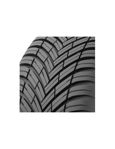 CELSIUS AS2 XL TOYO 225 40 18 92 Y