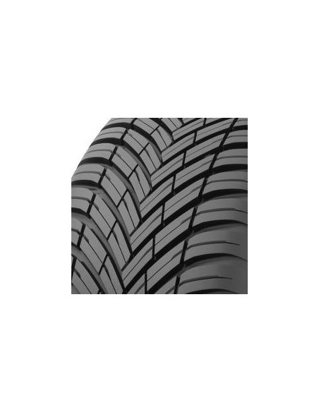 CELSIUS AS2 XL TOYO 225 40 18 92 Y