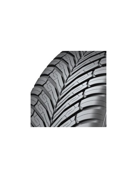 215/55 R18 TL 99V ION FLEXCLIMATE XL SOUND ABSORB ER BSW M+S 3PMSF