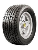 255/45 R15 TL 93W MXW 