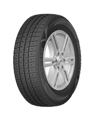 205/65 R16C 107 T Roadhog Rgvan01