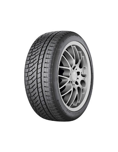 Eurowinter HS02 PRO FALKEN 255 40 19 100 V