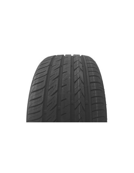 195/65 R15 TL 91V PROTECH NEWGEN 