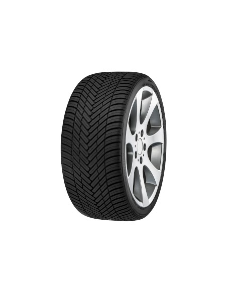 ECOPLUS2 4S FORTUNA 255 40 19 100 W