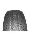 225/55 R19 TL 99V WINTER SUV2 M+S 3PMSF 