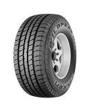 WP/HT01A 22 FALKEN 225 60 17 99 T