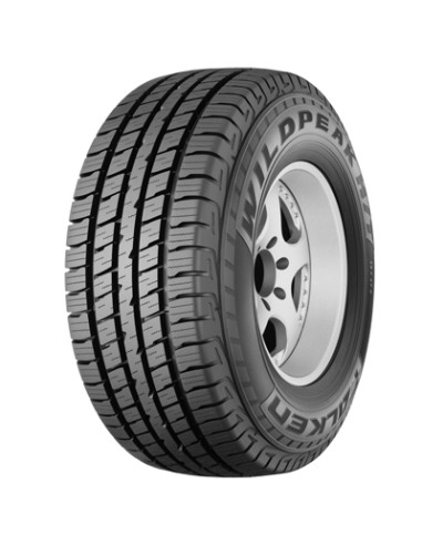 WP/HT01A 22 FALKEN 225 60 17 99 T