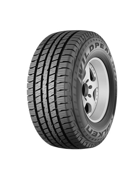 WP/HT01A 22 FALKEN 225 60 17 99 T