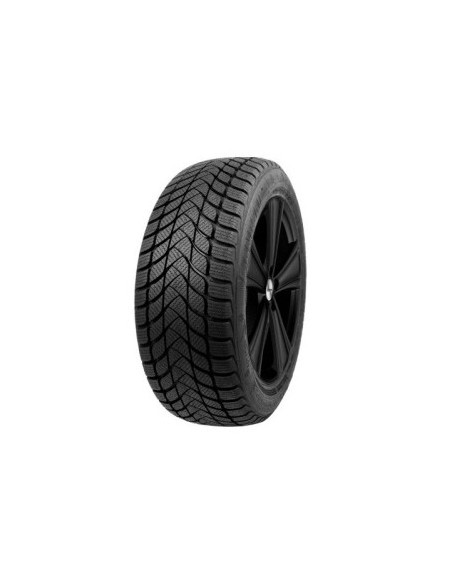 175/65 R14 TL 82T WINTER LANDER NORDIC COMPOUND B SW M+S 3PMSF