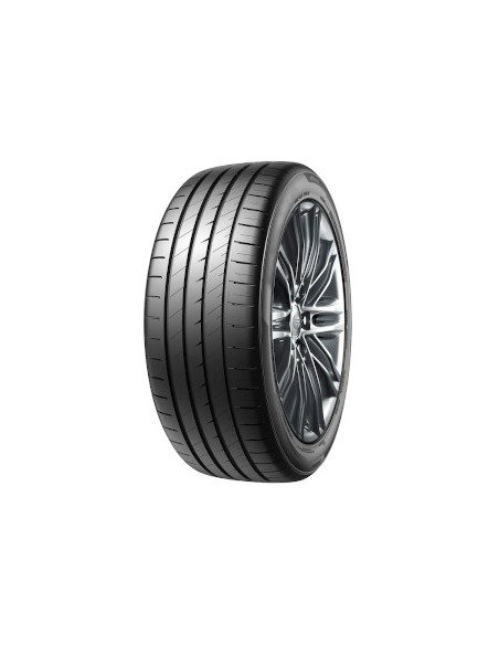 ECOBLUE EV SUPERIA 245 45 19 102 Y