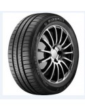 FM601 FIREMAX 205 55 17 95 W