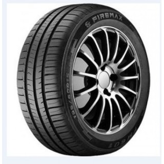 FM601 FIREMAX 225 45 17 94 W