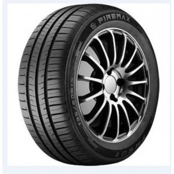 FM601 FIREMAX 205 55 16 91 V