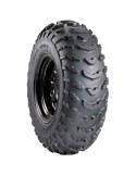19/7 R8 13 F Carlisle Trail Wolf