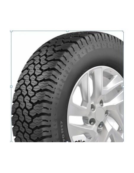 ROAD-TERRAIN ORIUM 285 60 18 120 T