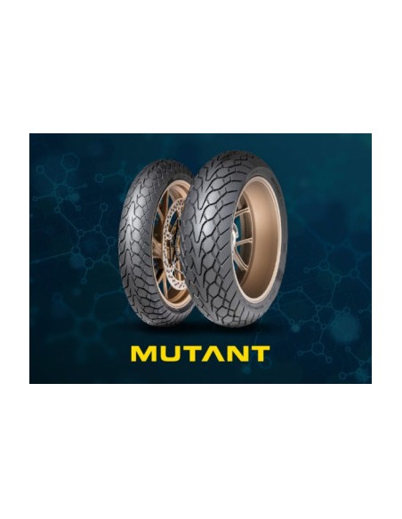 160/60 ZR17 TL 69W MUTANT REAR M+S 