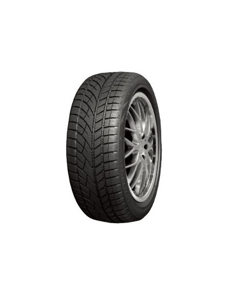205/55 R16 91 H ROADX - RX Frost WU01