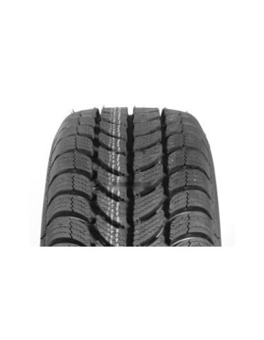 205/60 R15 91 H Sava Eskimo S3+