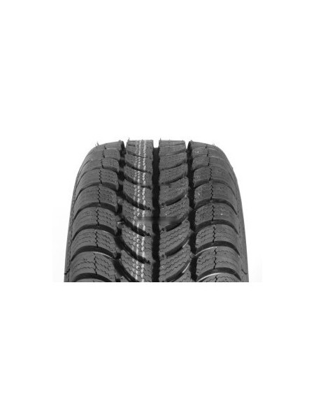 205/60 R15 91 H Sava Eskimo S3+