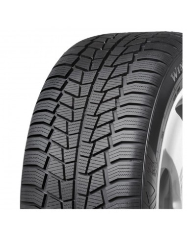 245/45 R18 TL 100V WINTECH XL FR M+S 3PMSF 