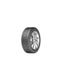 205/55 R17 TL 95V WH1000 XL M+S 3PMSF 