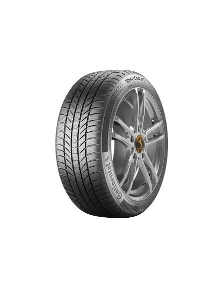 255/40 R19 TL 100V WINTERCONTACT TS 870 P XL FR B SW M+S 3PMSF