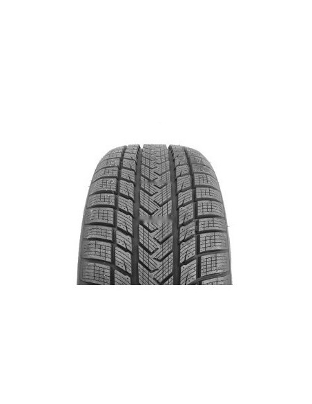225/40 R20 TL 94V PRO WINTER XL 
