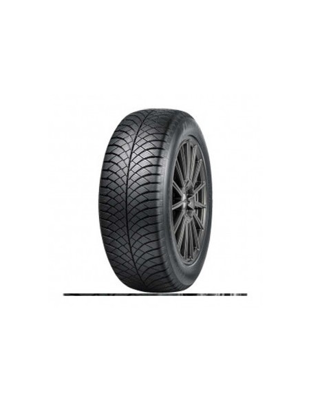 275/35 R19 TL 96Q WS-1 WINTER  