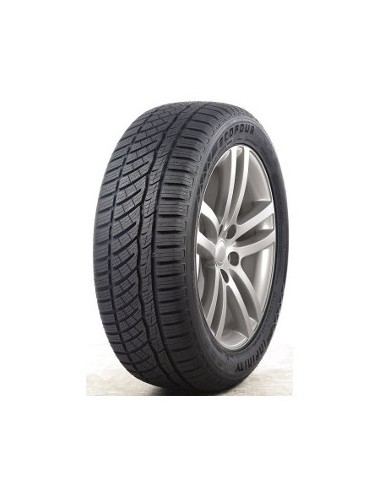 215/55 R16 TL 97V ECOFOUR XL  