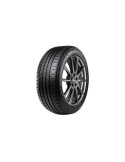 Dimax R8+ RADAR 255 55 18 109 Y
