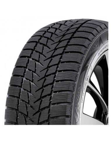 Dimax Alpine RADAR 215 60 17 100 V