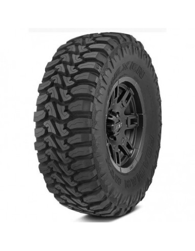 255/75 R17 111/108 Q Nexen Roadian Mtx