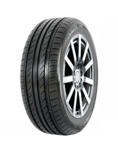 195/65 R15 TL 91H GALAXY R1 WSW 