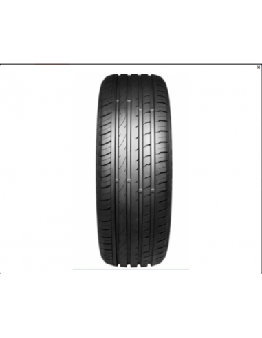 RA302 APTANY 245 50 18 100 W