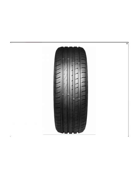 RA302 APTANY 245 50 18 100 W