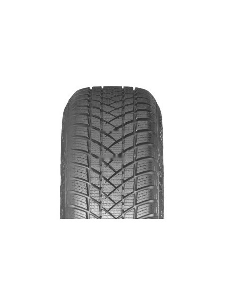 225/50 R17 98 V Gt Radial Winterpro2 Sport
