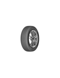 215/45 R17 TL 91W DS2 XL BSW 