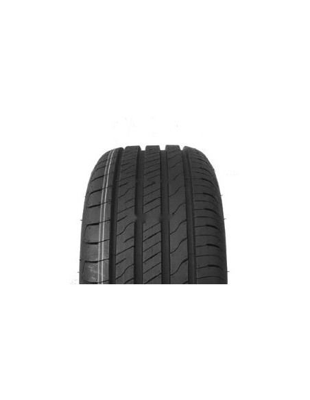 EFFICIENTGRIP PERFORMANCE 2 GOODYEAR 205 55 16 91 Y