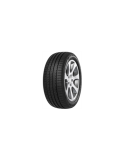 255/40 ZR19 TL 100Y RADIAL F205 XL 