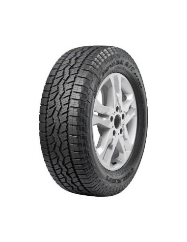 255/60 R18 TL 112Q WILDPEAK M/T01 XL P.O.R BSW M+ S