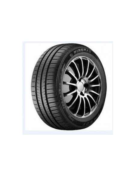 225/45 R17 TL 94W FM 601 XL 