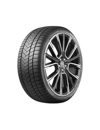 205/55 R16 TL 91H WINTER-MAX A1 WR22 BSW M+S 3PMS F