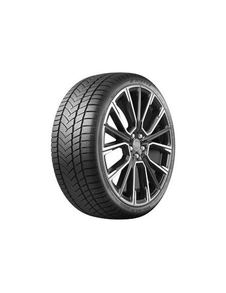 205/55 R16 TL 91H WINTER-MAX A1 WR22 BSW M+S 3PMS F